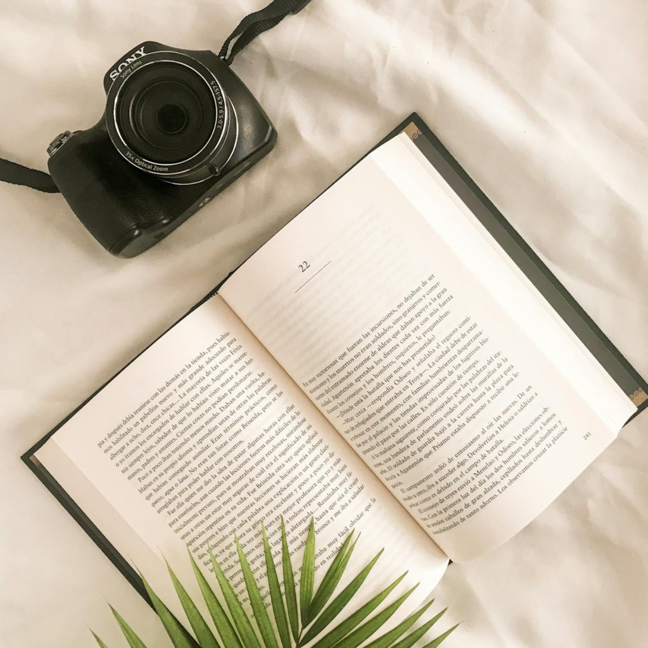 A importância de ter hábito de leitura